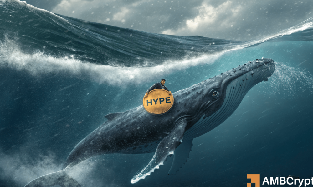 Hyperliquidwal verliert, wenn der Hype sinkt – Wird der Preis weiter sinken?