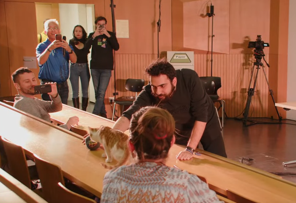 Nachweis des Katzes Beweis