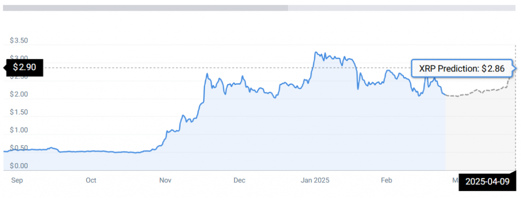 XRP-Stats