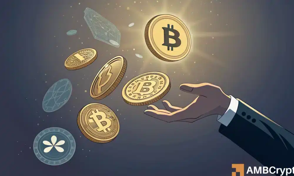 Bitcoin oder Altcoins? So präsentiert die Volatilität Ihre Handelsentscheidungen