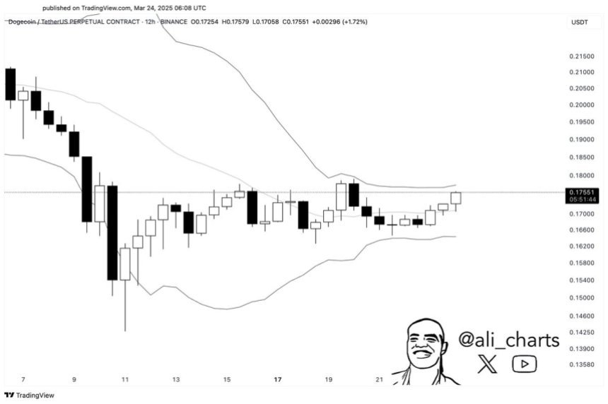 DogEcoin Bollinger -Bänder festziehen | Quelle: Ali Martinez auf x
