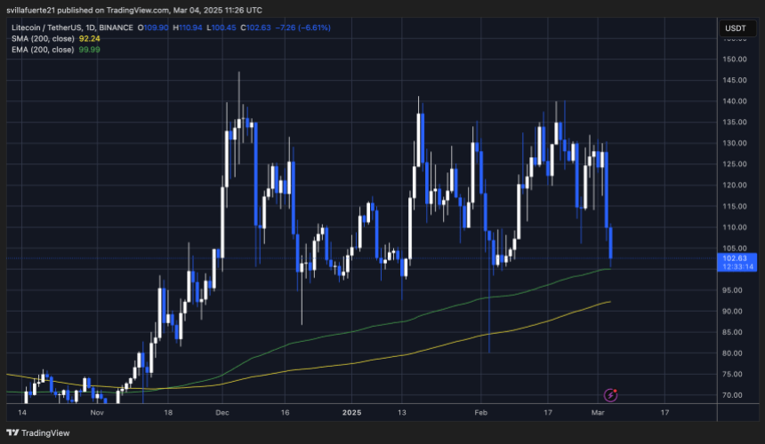 LTC -Testen entscheidende Nachfrage rund 100 US -Dollar | Quelle: LTCUSDT -Diagramm auf TradingView