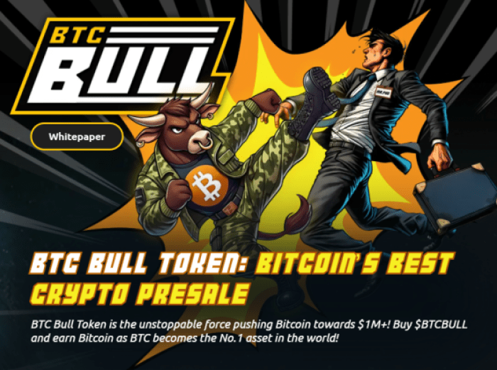 BTC Bull Token Vorverkauf