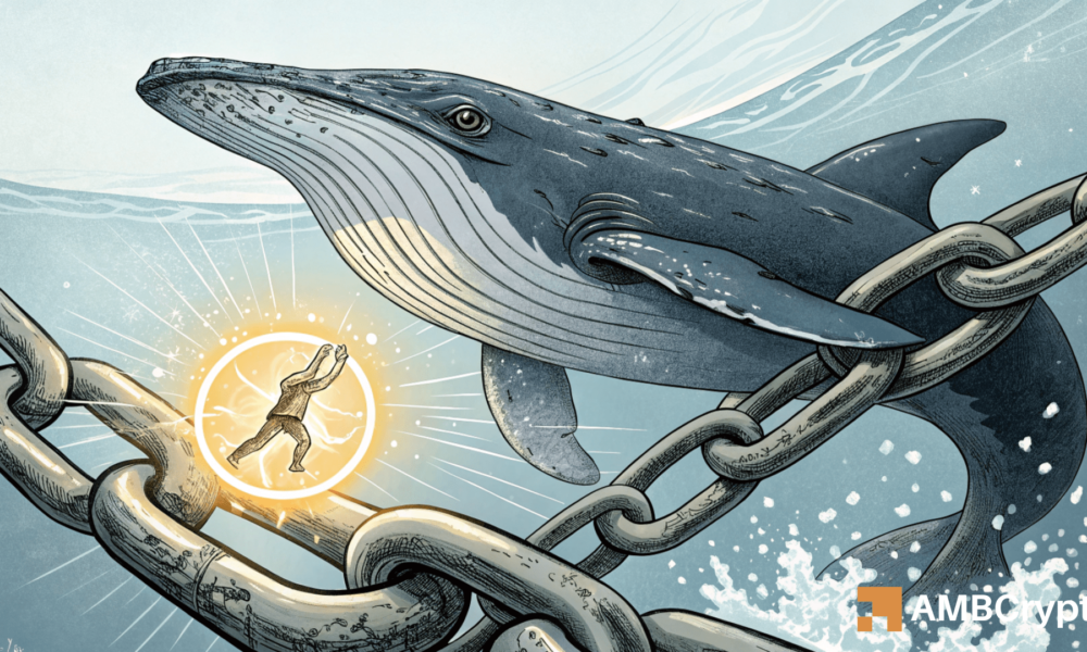 Kettenlink: Wie 2 Faktoren bestimmen, ob die Verbindung 35% versammeln kann