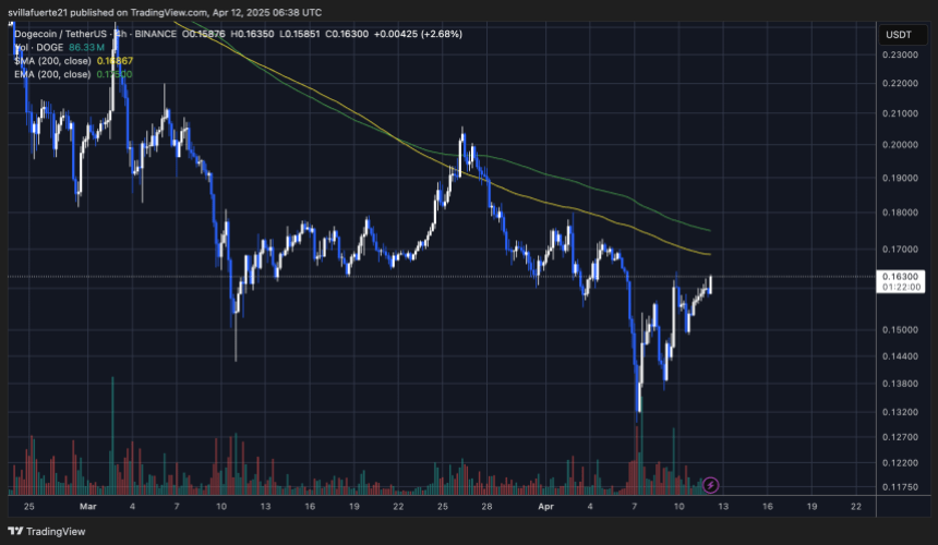 DOGE -Testen kritischer Widerstand | Quelle: Dogeusdt -Diagramm auf TraidngView