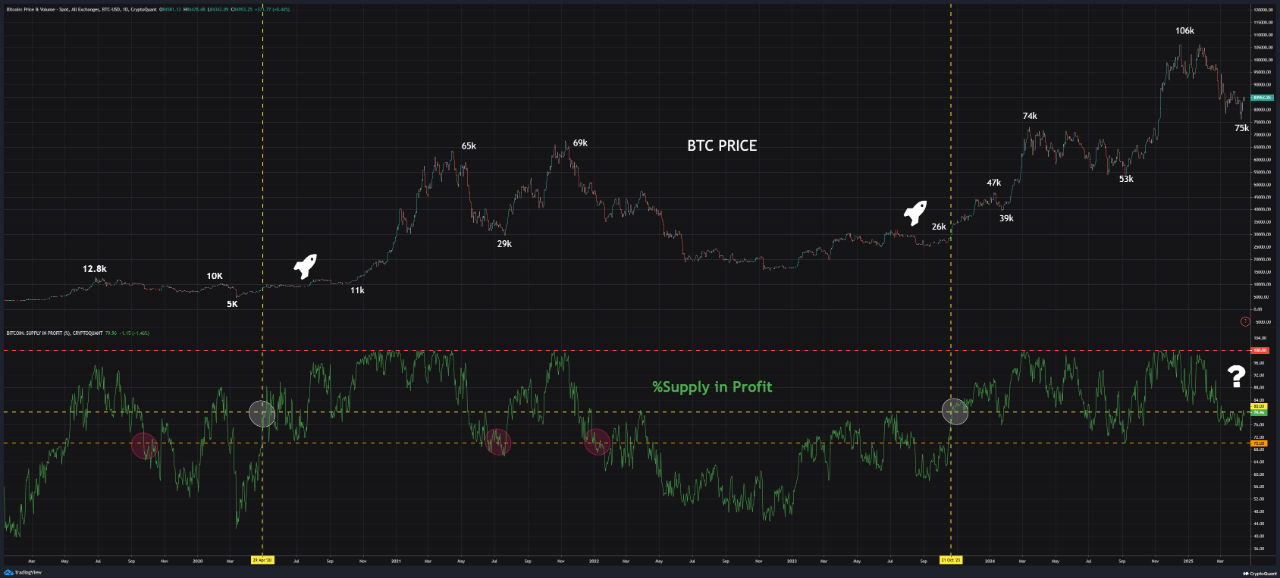 Bitcoin -Angebot im Gewinn.
