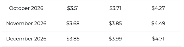 XRP -Preisvorhersage