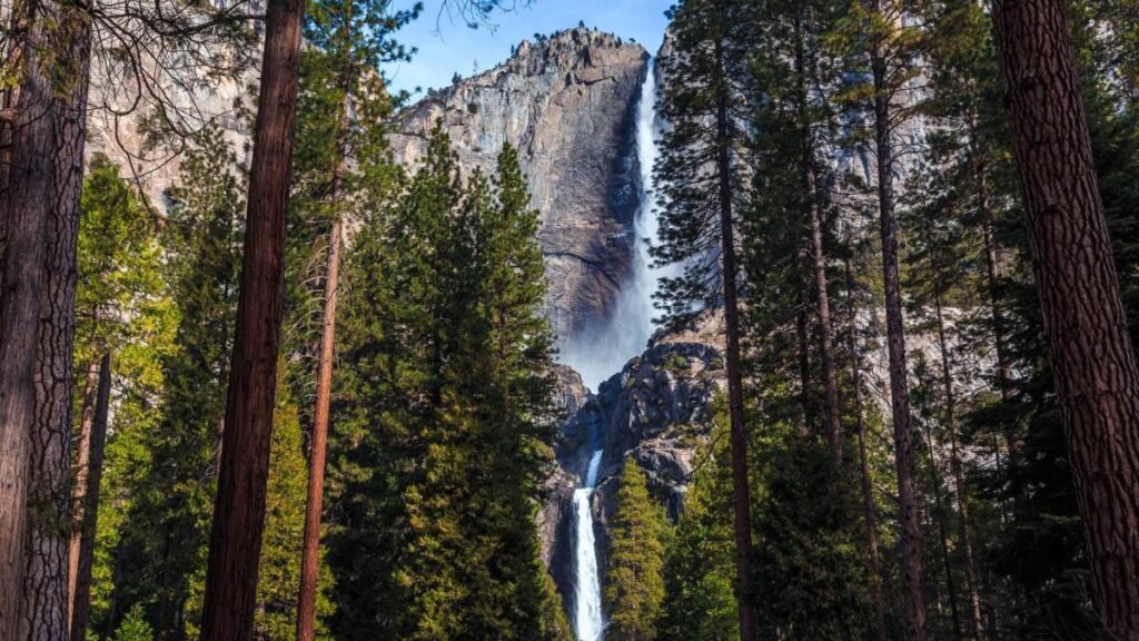 Der National Parks Service bittet die Arbeiter, ihnen zu helfen, Entlassungen zu machen