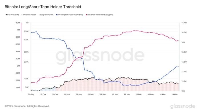 Bitcoin Holdings -Daten