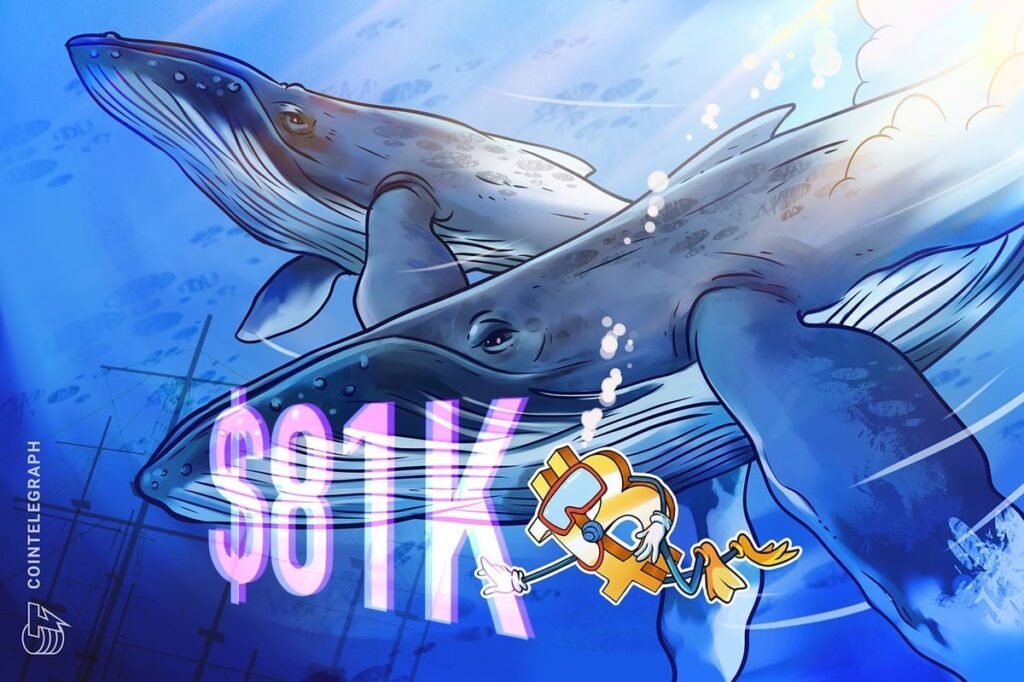 Bitcoin Whale-Akkumulation Trend spiegelt die Bullische Aktivität der 2020er Jahre nach BTC-Preis ab, die 81.000 USD abprallt