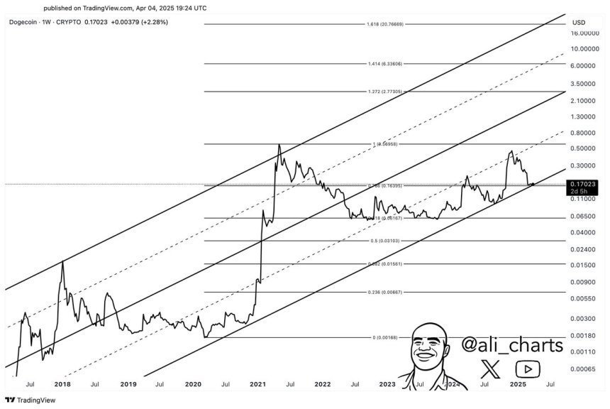 DogEcoin Testen kritischer Unterstützung Level | Quelle: Ali Martinez auf x