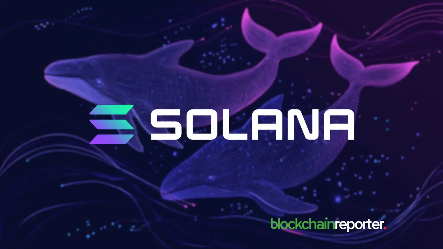 Solana Whale erwacht – 50.000 SOL wurden von Binance und Bybit zu Liquid Staking-Protokollen verschoben