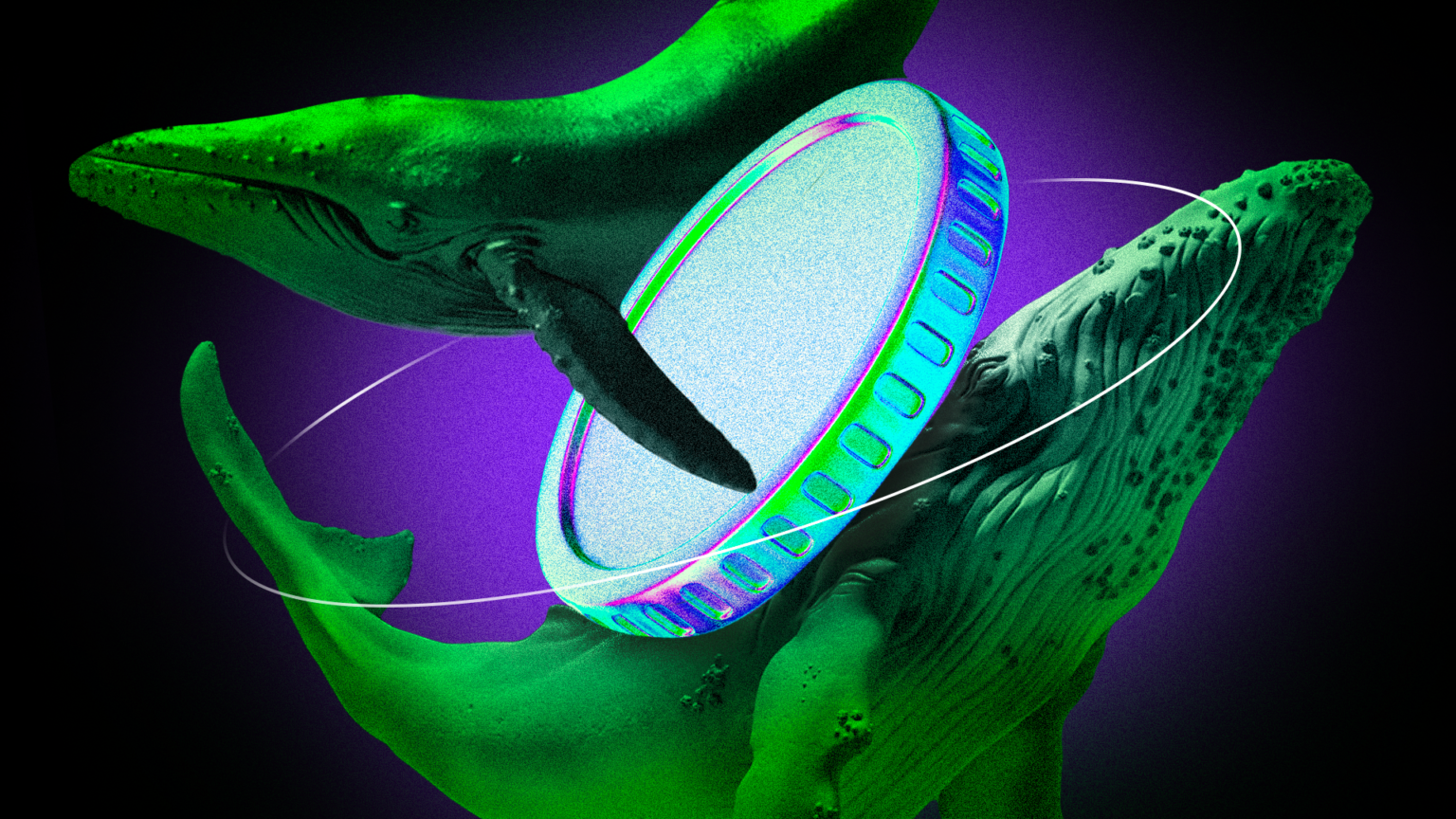 Kryptowale kaufen diese Altcoins -Post -Tarife Pause