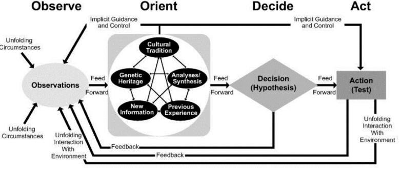 Ooda Loop detailliert