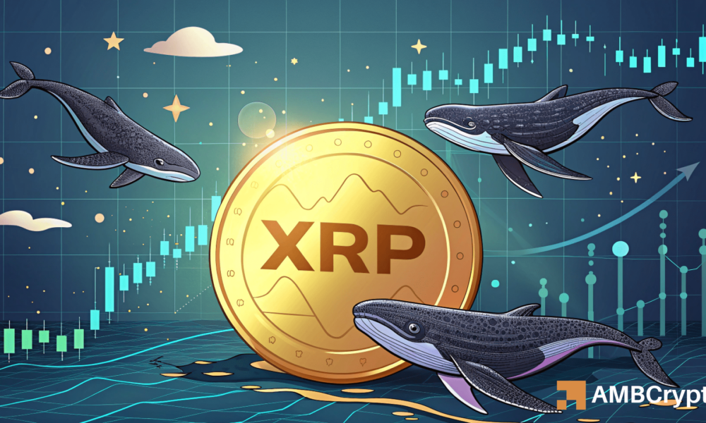 Ripple: Wie reagierte XRPs Preis auf einen Walbewegung von 64 Mio. USD?