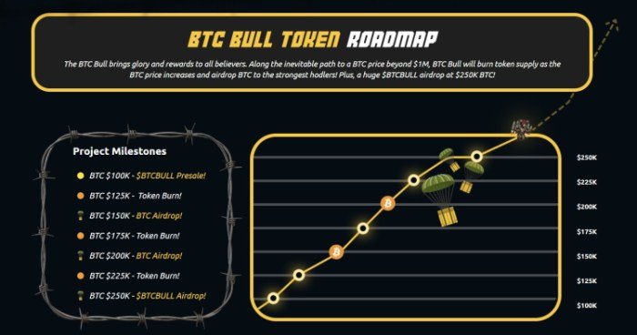 BTC Bull Token Roadmap