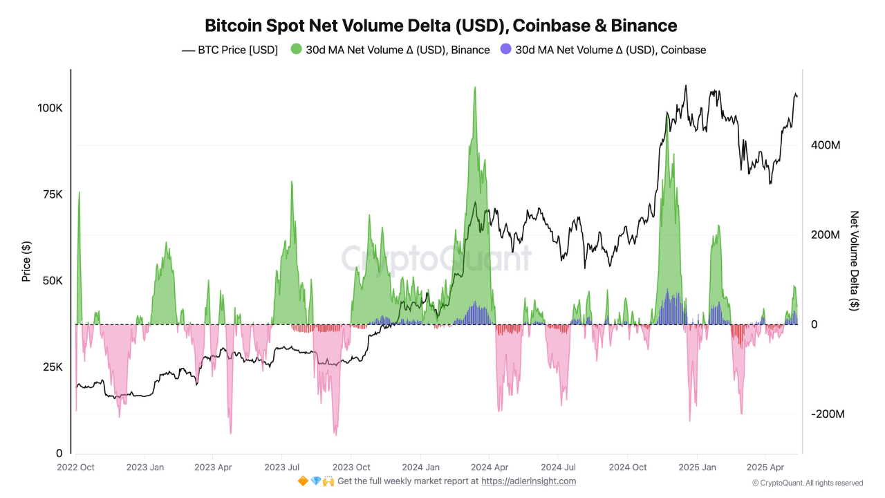 Bitcoin Spot Net Volumen auf Coinbase und Binance.