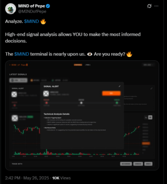 Mind of Pepe Terminal