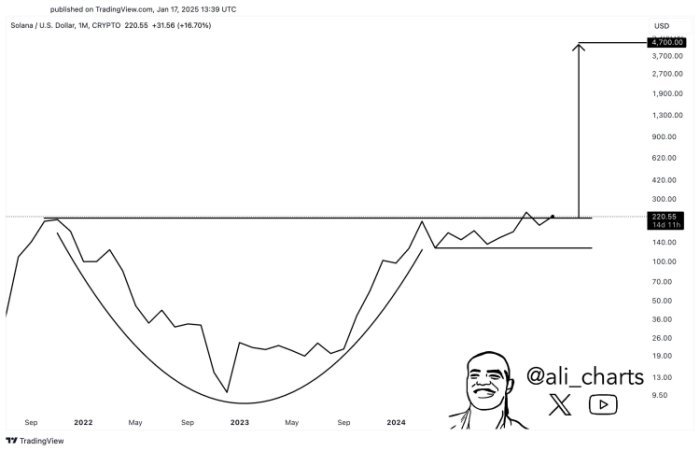 $ Sol Cup und Handle