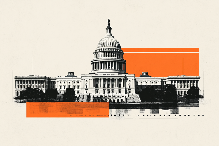 Der Haushaltsgesetz von Präsident Trump, der im US -Kongress stimmte