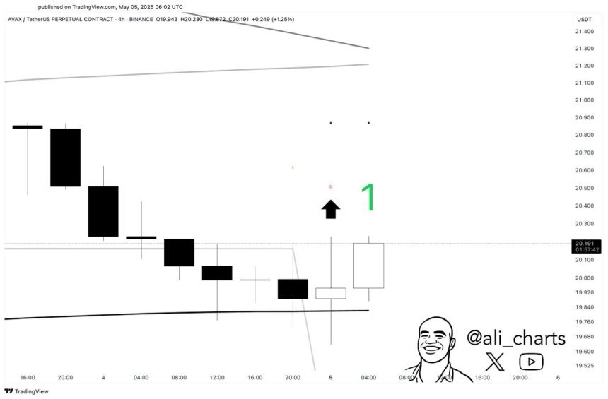 Avalanche abprallt vom 4-Stunden-200 SMA | Quelle: Ali Martinez auf x