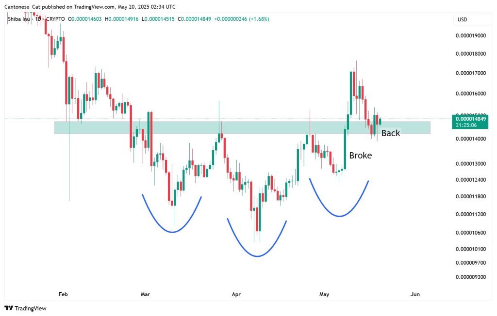 Shiba im Preis im Preis