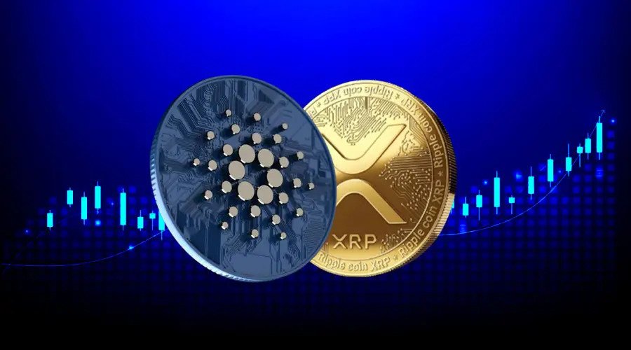 Ripple (XRP) oder Cardano (ADA): Welche Münze wird im Januar 2024 1 USD erreichen?
