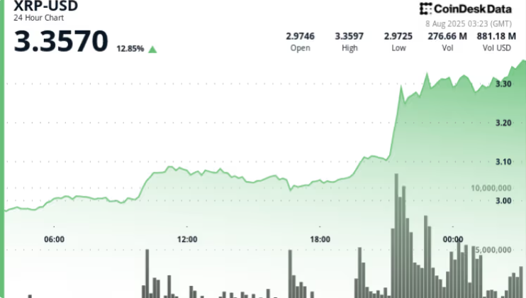 XRP 24-Stunden-Diagramm, das 8. bis 9. August Preisaktion zeigt