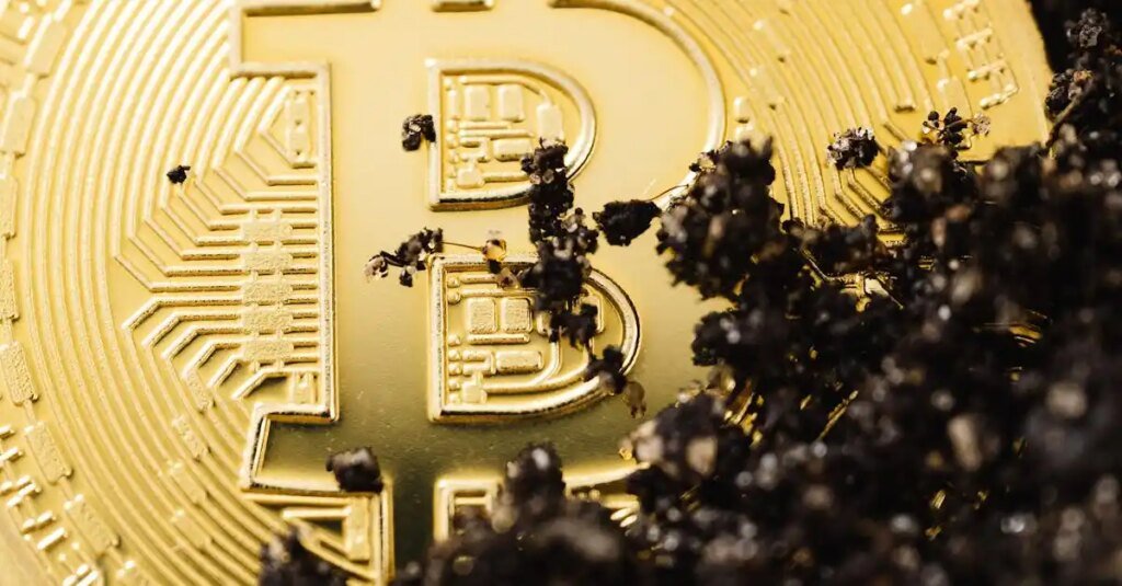 16.000 alte Bitcoins sind gerade umgezogen – und das kostet Whales Milliarden