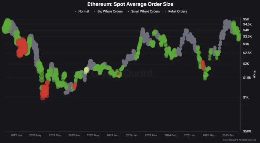 Die großen Ethereum-Geldbörsen sind zurück: Wale akkumulieren stillschweigend ETH – eine Rallye im Anmarsch?