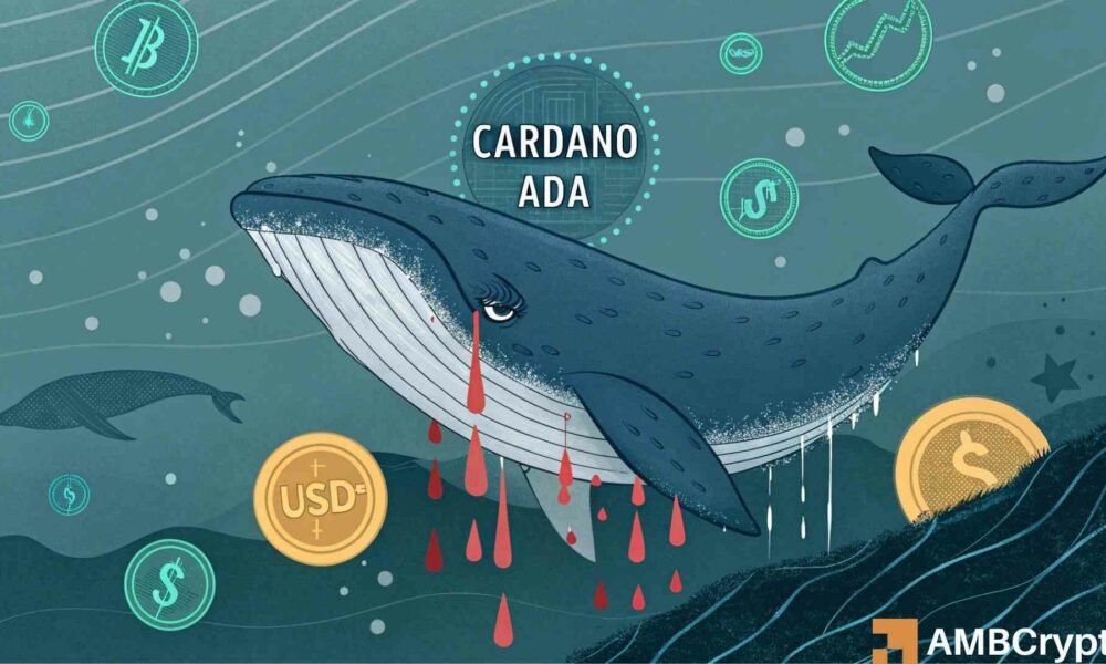 Cardano-Wal verliert 90 % ADA nach der Umwandlung in einen illiquiden Stablecoin