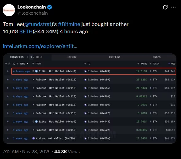 Bitmines neueste Akquisition von ETH-Tokens.