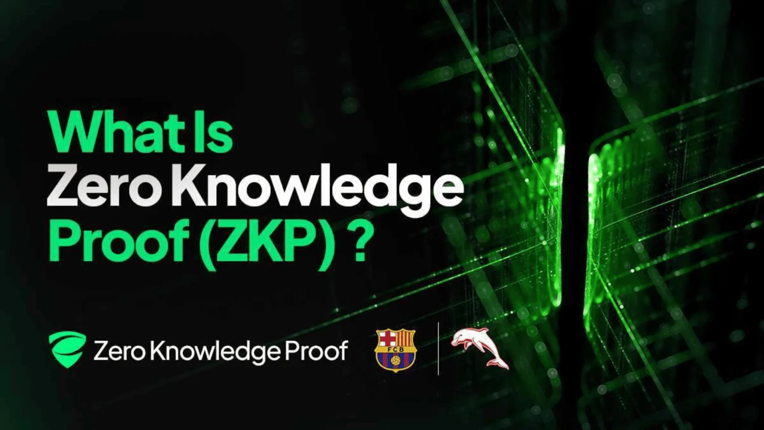Wie liefert Zero Knowledge Proof ein datenschutzorientiertes KI-System?