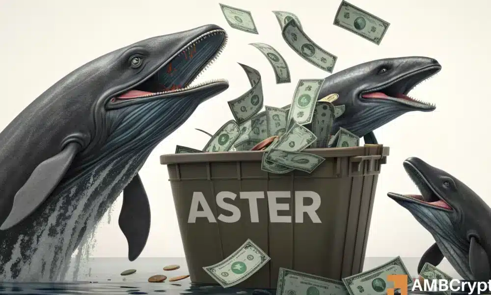 ASTER: Wie kluges Geld eine Rallye in einen Gewinnzyklus verwandelte