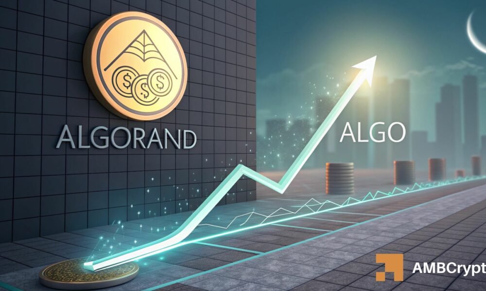 Algorand sendet zwei Kaufsignale: ALGO-Bullen blicken auf eine Erholung um 0,20 $