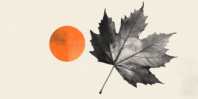 CAD an diesem Tag stabil – Scotiabank