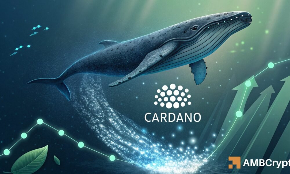 Cardano: Was steigende Walabflüsse für den nächsten Anstieg von ADA bedeuten