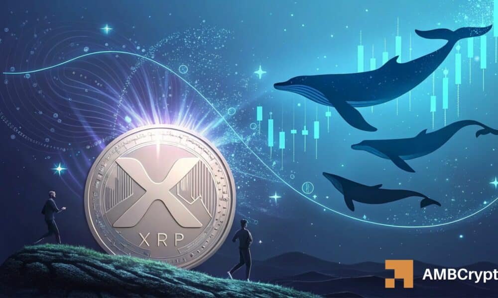 Der XRP-Abfluss in Höhe von 98,6 Millionen US-Dollar löst Wal-Rausch aus, da der Preis an DIESER Unterstützung festhält!