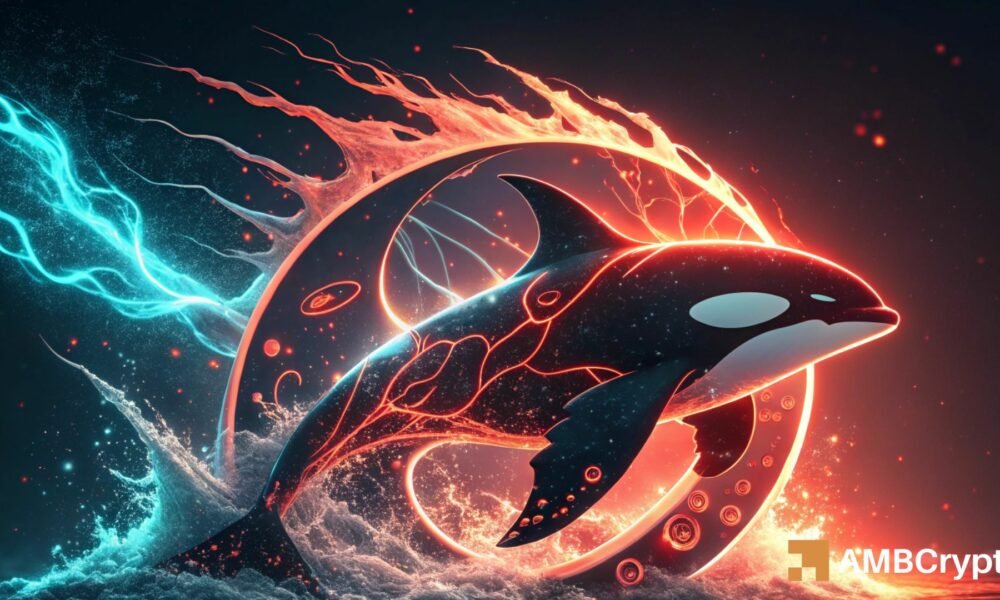 Orca-Krypto fällt um 25 % – Eine zinsbullische Umkehr ist jedoch möglich, WENN…