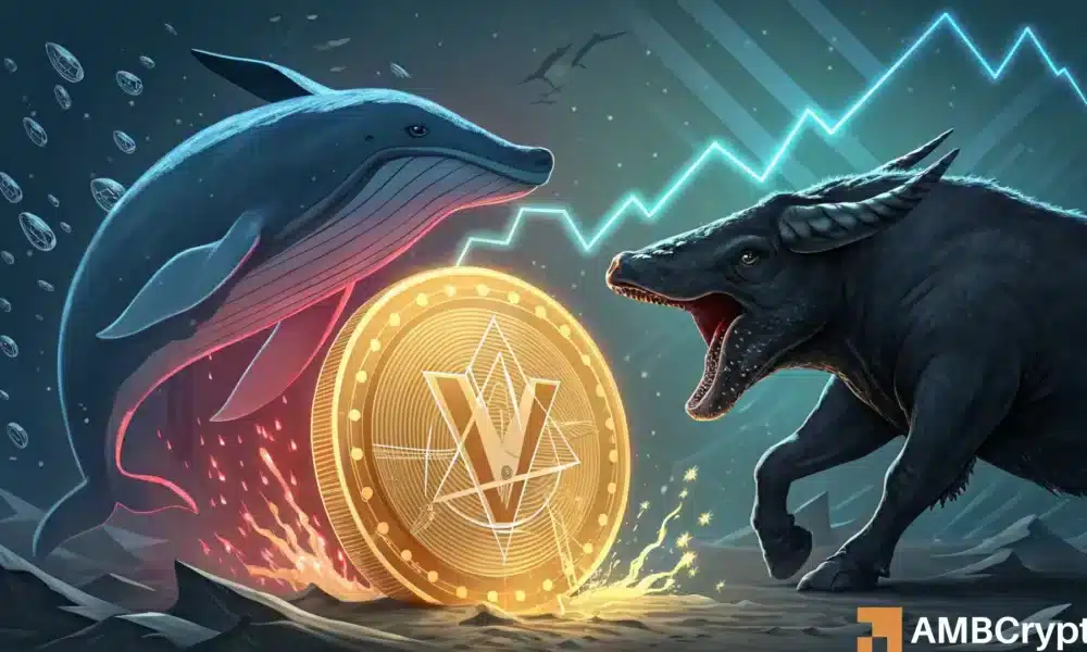 Virtual Protocol Whale bewegt 7 Millionen Token – Wie sieht es mit dem Preis aus?