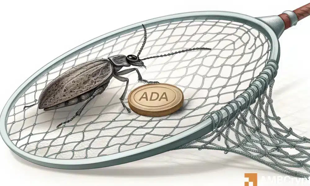 Was geschah, nachdem Cardano „von einem Kind besiegt“ wurde? Abbildung des Anlegervertrauens