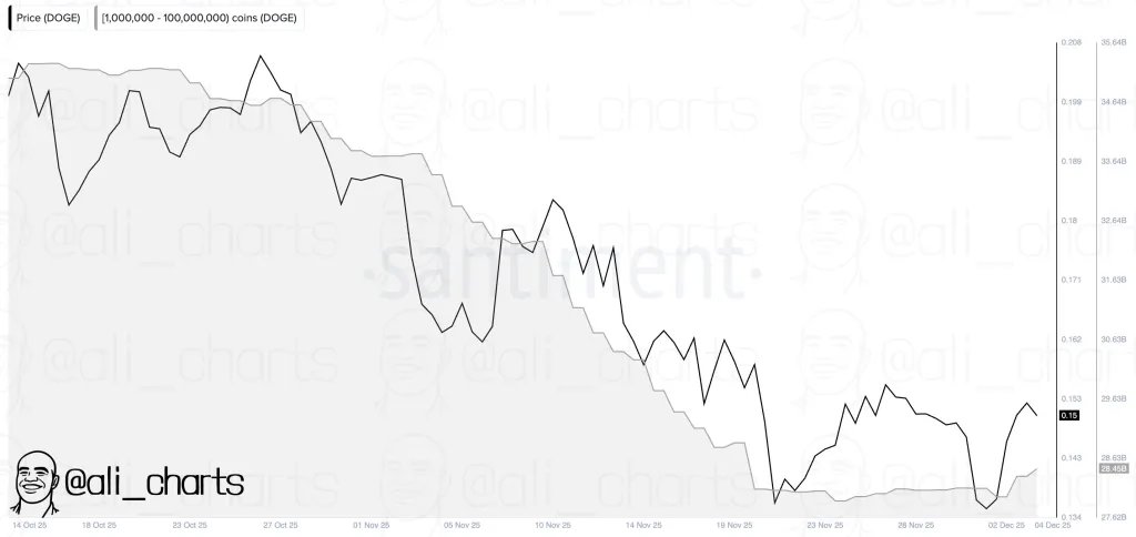 Dogecoin-Wal-Aktivität