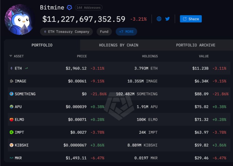 Bitmine Ethereum-Bestände | Quelle: Arkham