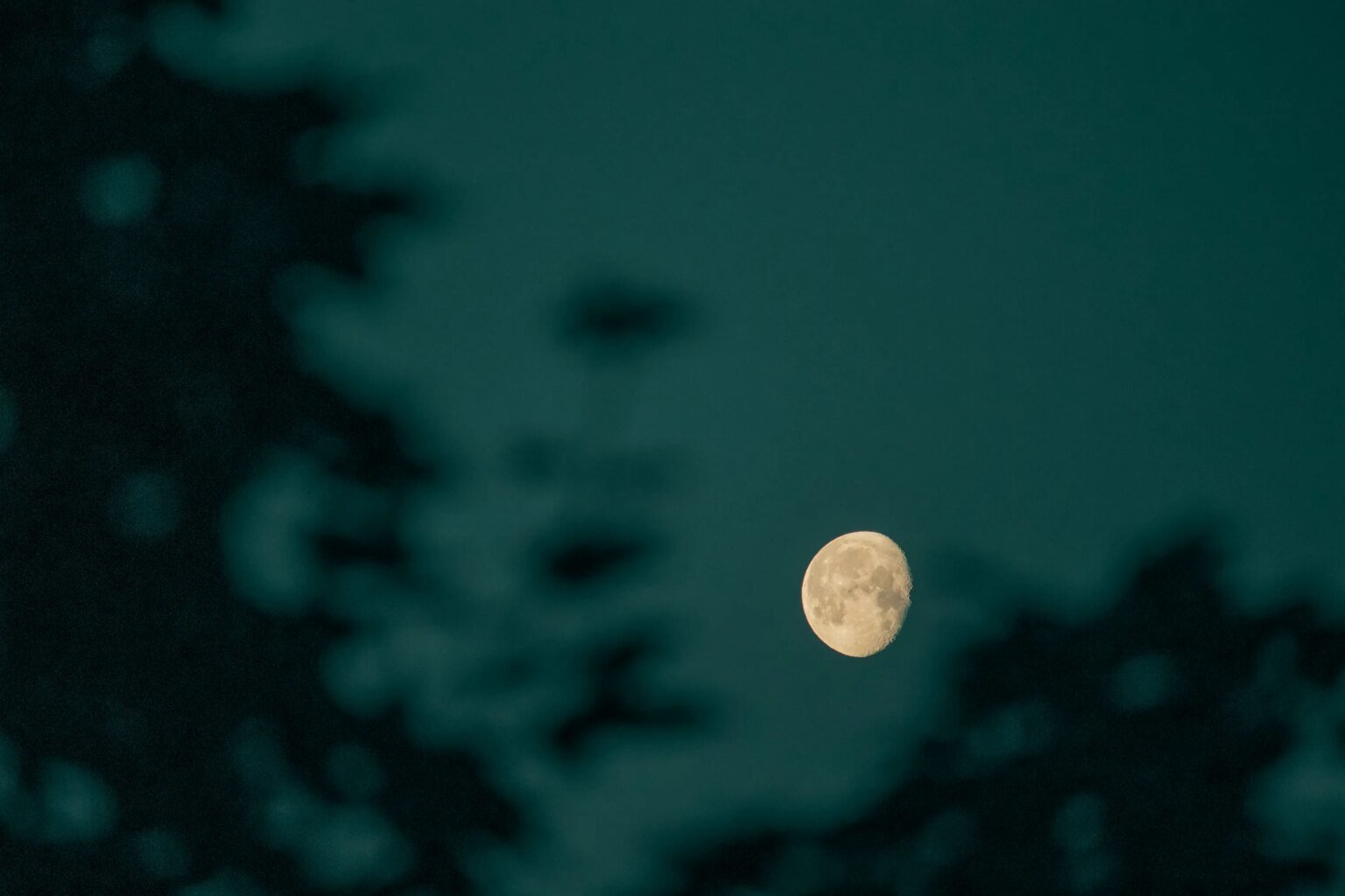 Bitcoin steuert auf 200 Billionen Dollar zu? CEO macht mutige Vorhersage