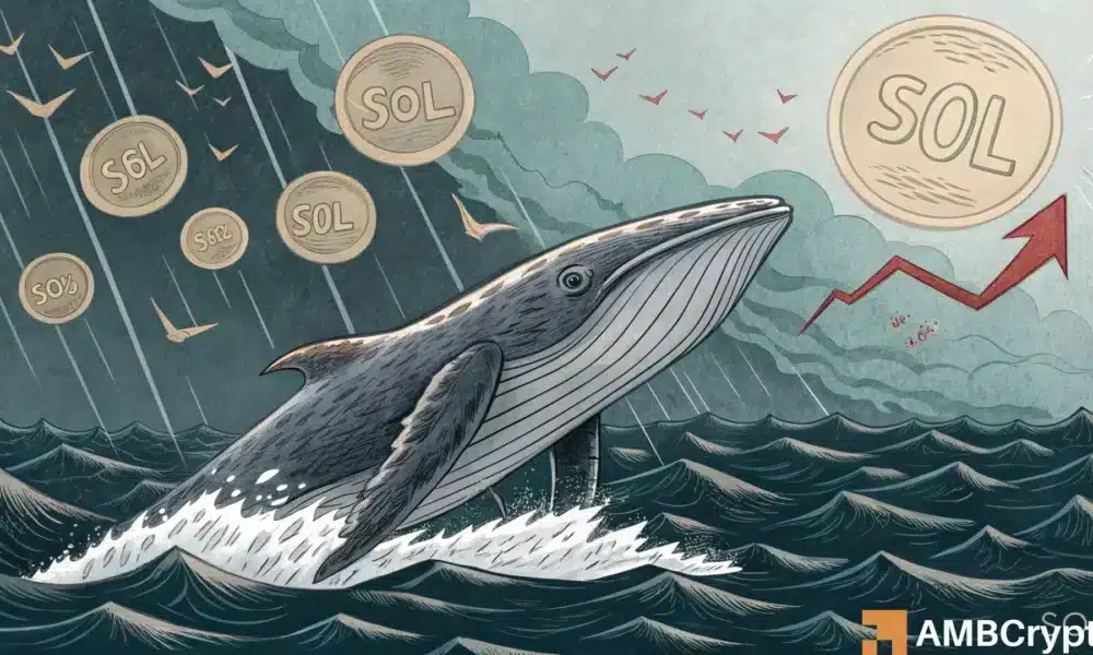 Bluten Wale Solana aus? Ein weiterer SOL im Wert von 13 Mio. US-Dollar landet auf den Börsen