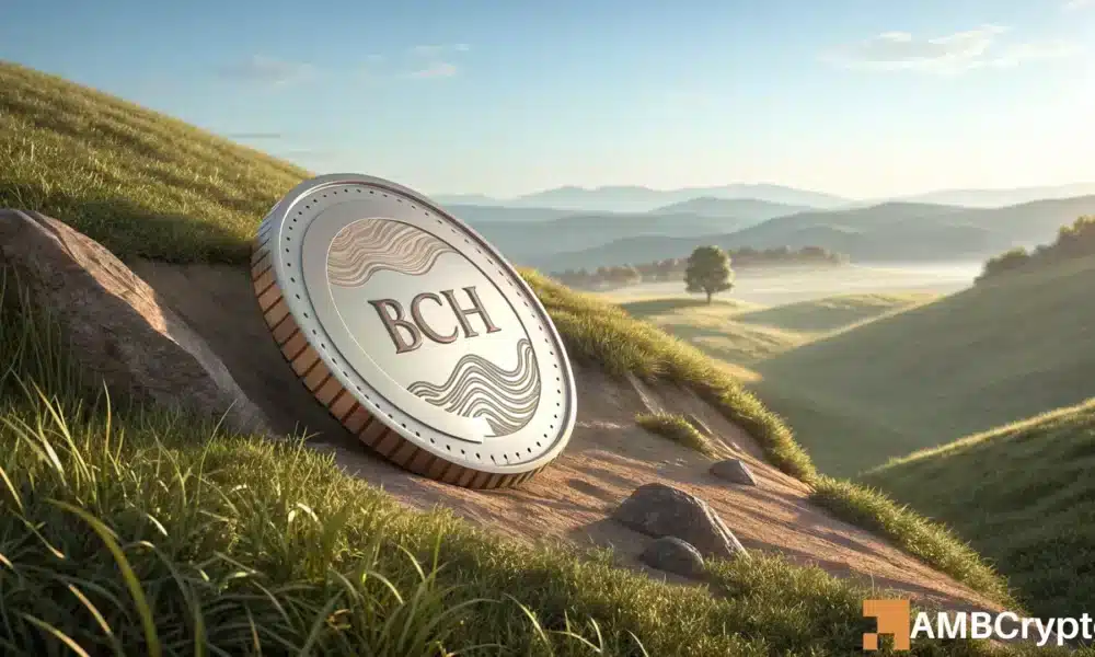 Den 10-prozentigen Anstieg von Bitcoin Cash inmitten der Kluft zwischen BCH und Derivaten verstehen