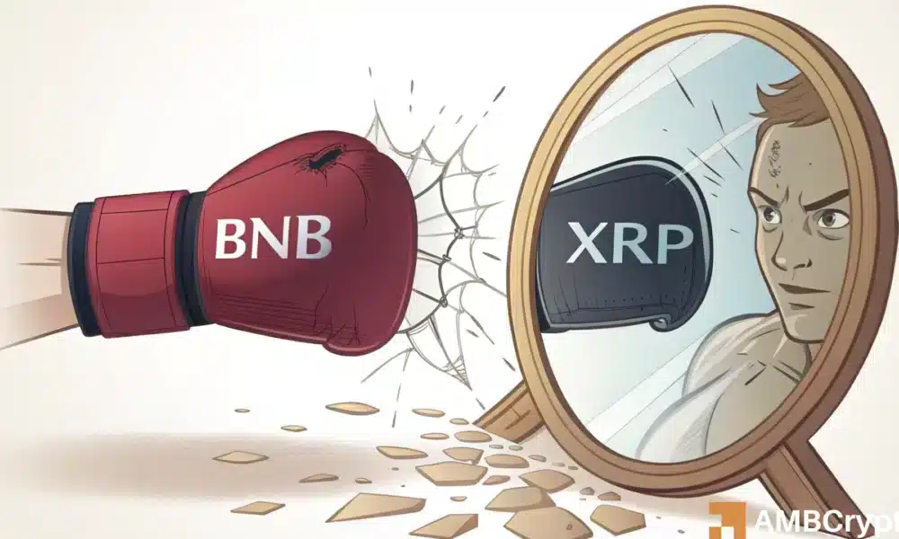 Entschlüsselung der Stärke von BNB, da XRP im High-Cap-Ranking an Boden verliert
