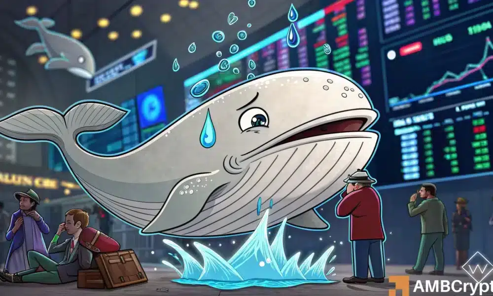 Hyperliquid Whale hat einen schwebenden Verlust von 22 Millionen US-Dollar