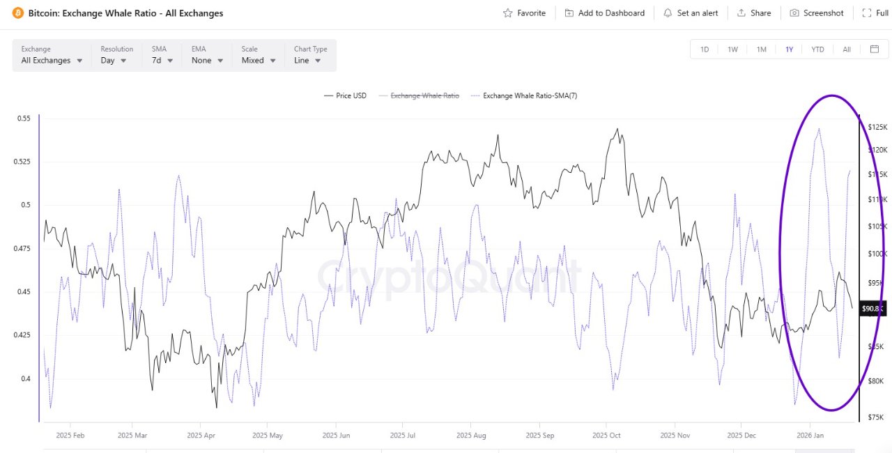 Kryptowährungen, Bitcoin-Preis, Bitcoin-Analyse, Märkte, Kryptowährungsbörse, Bitcoin-Futures, Preisanalyse, Marktanalyse, Wal