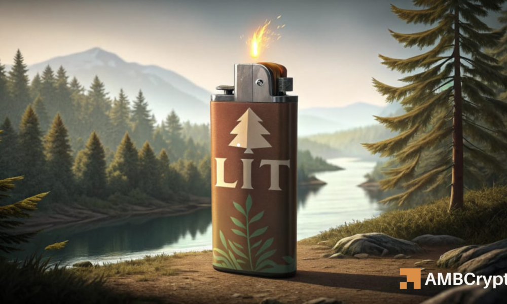 Leichtere Rallyes um 13 % durch Einzelhandelskäufe – Warum verkaufen Wale immer noch LIT?